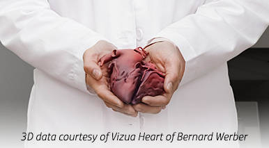 3D Heart Visualization Model